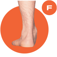 quadra foot type f